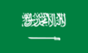 Saudi Arabia - Professional League Saudi Arabia